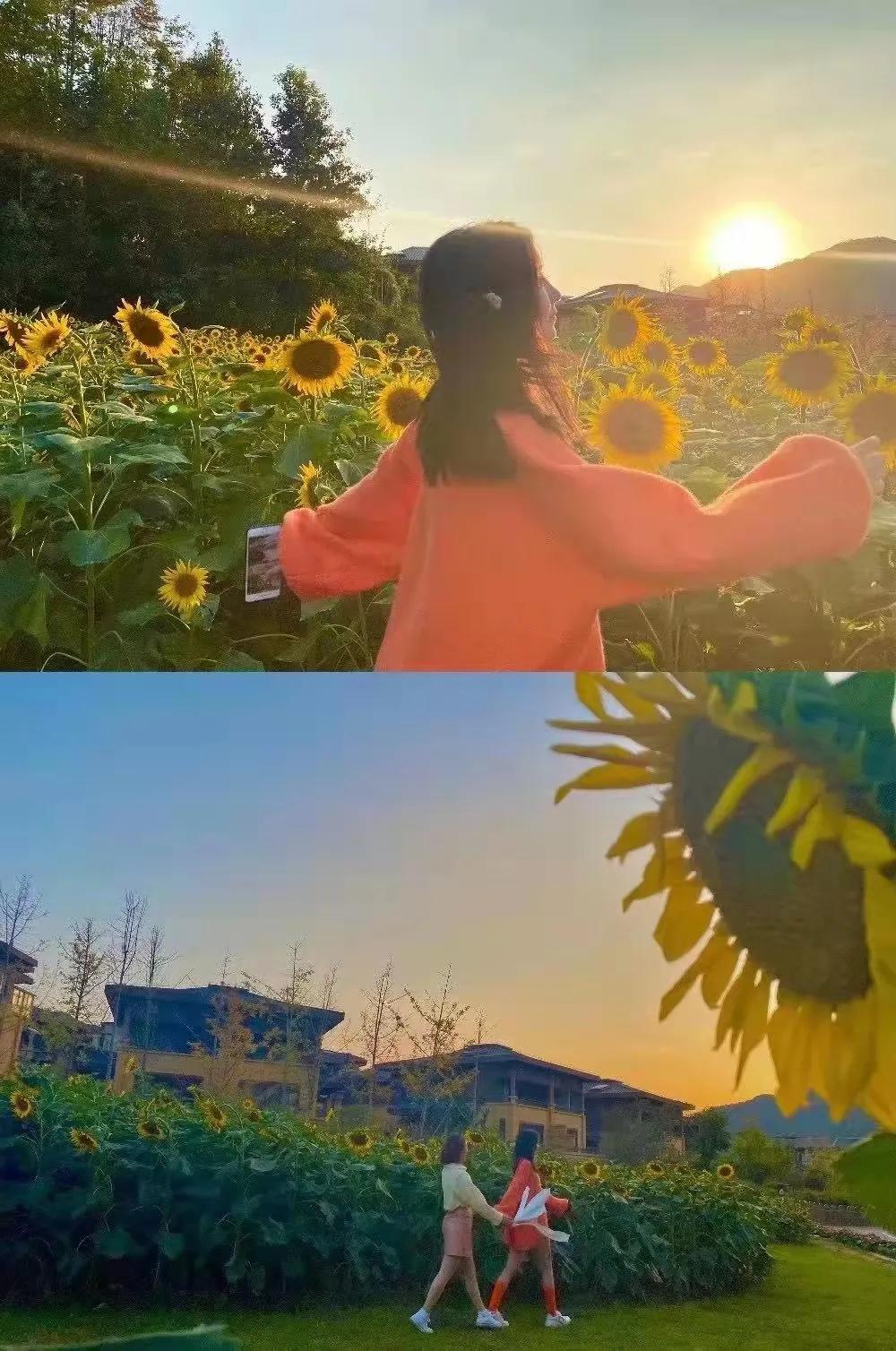 裸心谷民宿1万,裸心谷民宿图片