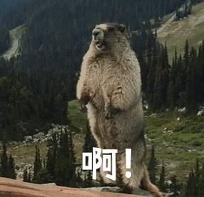 2017春季彩妆推荐图,2018年春季彩妆盘点之高颜值篇