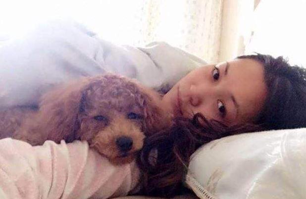 养泰迪犬的男生性格分析,泰迪犬的特点和性格