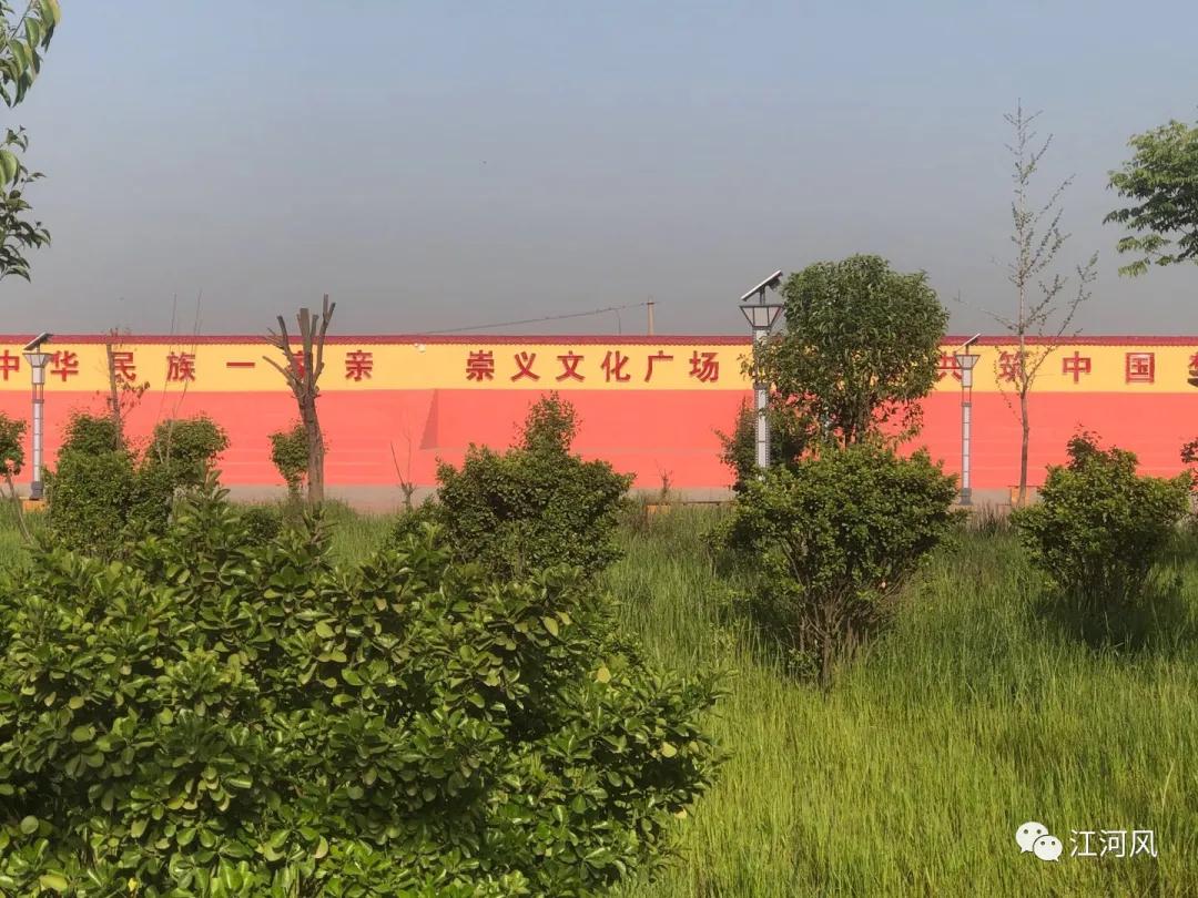 崇义的那点事——乡村打卡第八十站，沁阳崇义镇