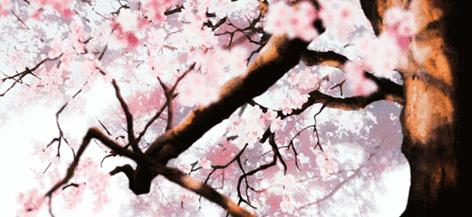 最有效简单的催旺桃花的方法,如何催旺高质量的桃花