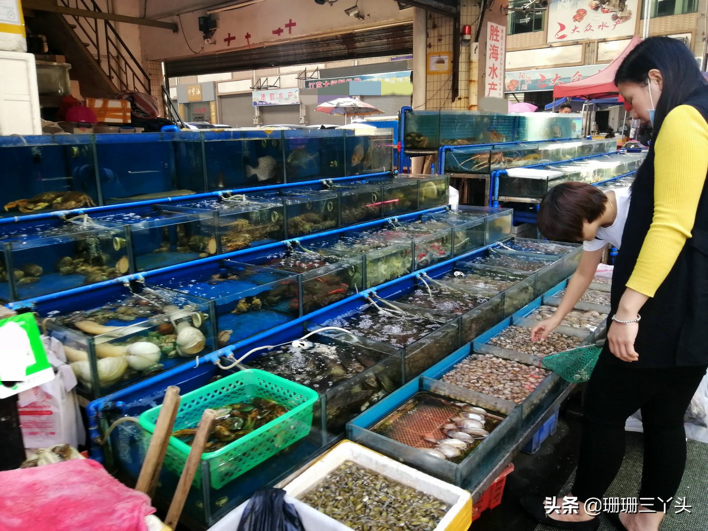 广州南沙生蚝最便宜海鲜市场,广州生蚝批发送货上门