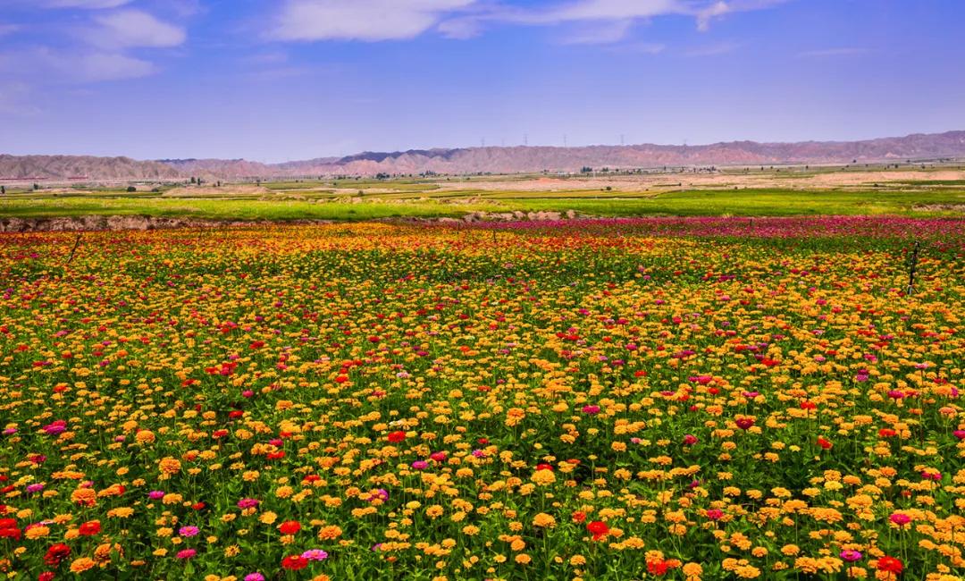 12个理由告诉你，为什么黄河石林值得一去再去