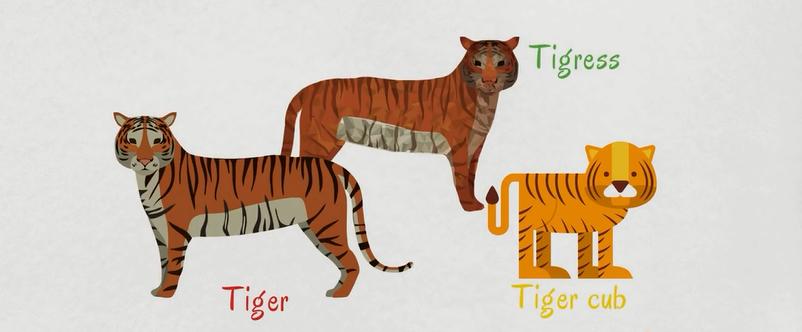 关于动物的英语短单词,初中英文的动物词汇