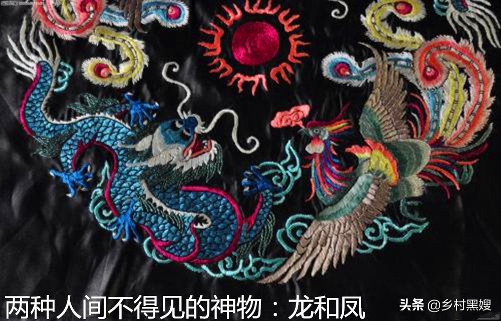 神鸟凤凰是什么样子,神鸟凤凰山海经