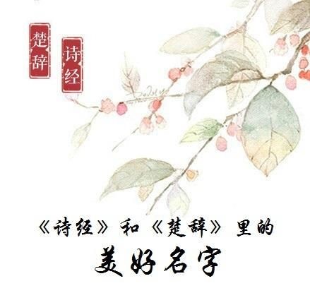 爸爸姓蒋给儿女取什么名,姓蒋给女儿怎么取名字好听