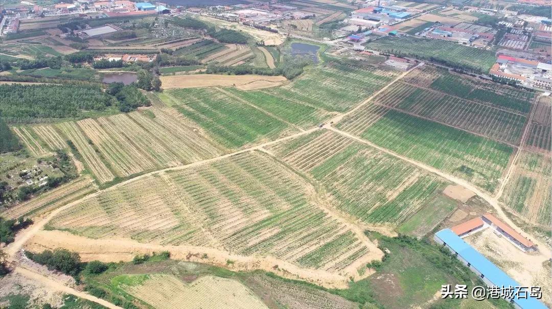 石岛即将开发的项目,石岛的项目