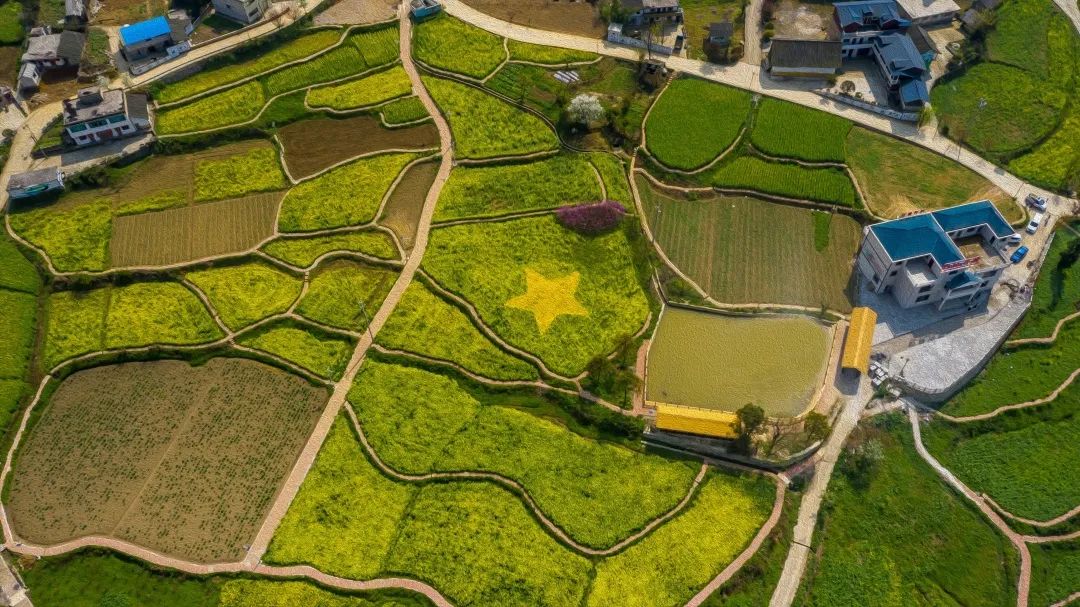 赏春图鉴丨赏花海、品清茶、尝美食...乌当百宜镇这条宝藏春游线路，就等你来打卡啦！