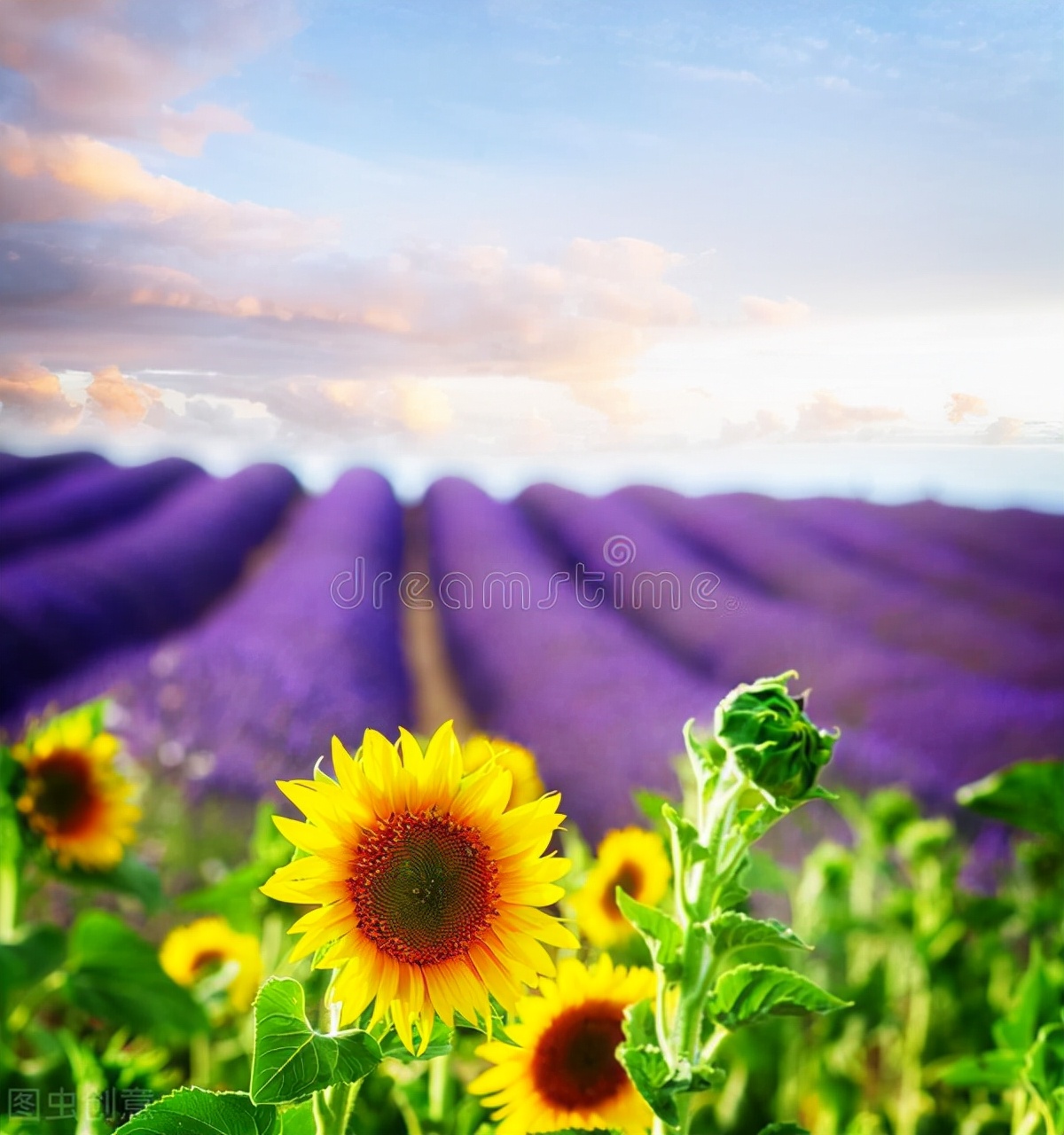 治疗子宫肌瘤，中医一个妙方，让子宫肌瘤消失