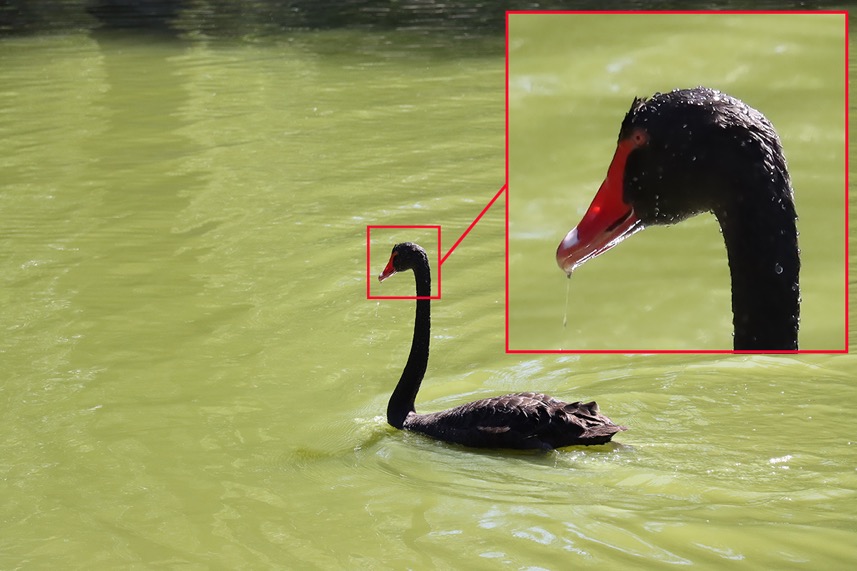 3250万像素仅售7649元，佳能新出的90D单反究竟有多香？