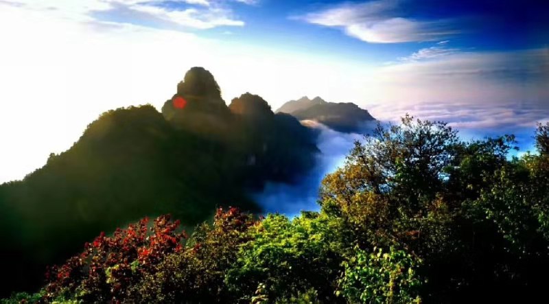 抓住秋天的尾巴走进冬天,抓住秋天的尾巴寻最后一抹金黄