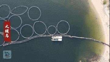 洞头海钓赶海最佳地点,阳江大镬岛矶钓点