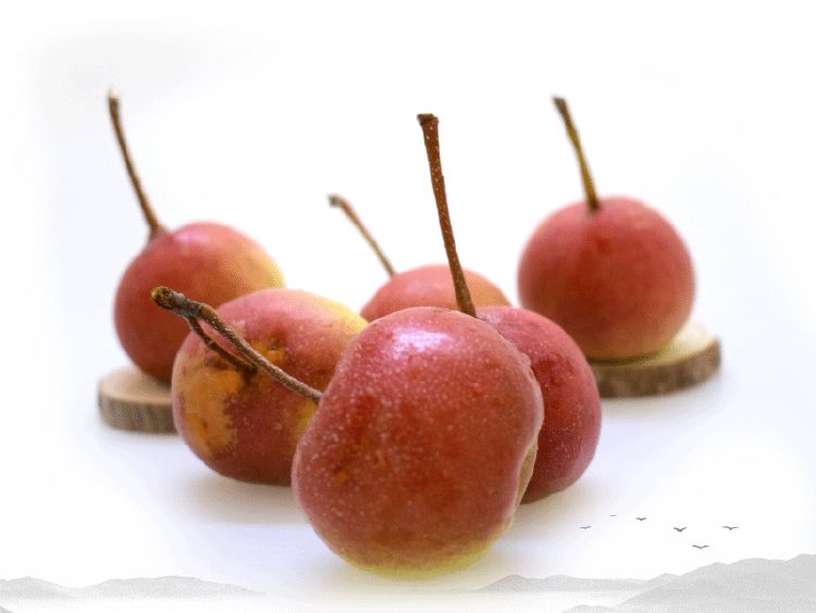 云品出滇入鲁,云品出滇简介