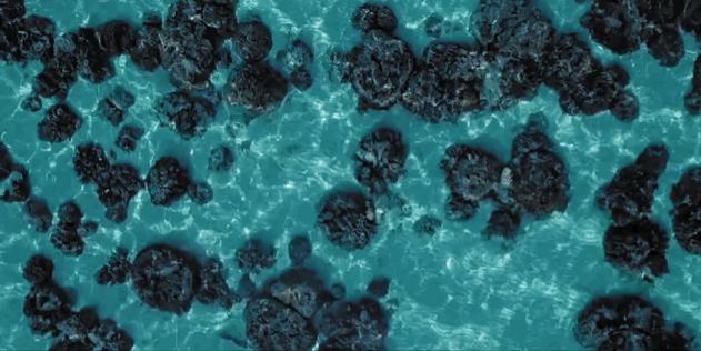 恋恋丽贝岛，人狗情未了|KohLipe