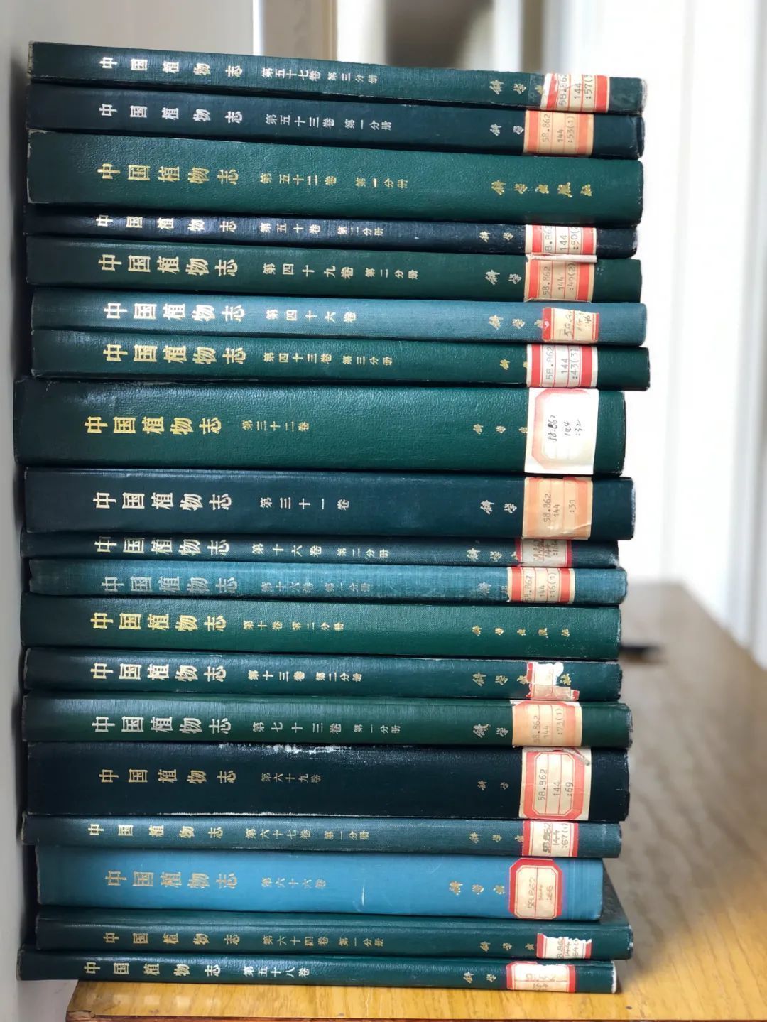 濒危稀有植物绘画,八大濒危珍稀植物