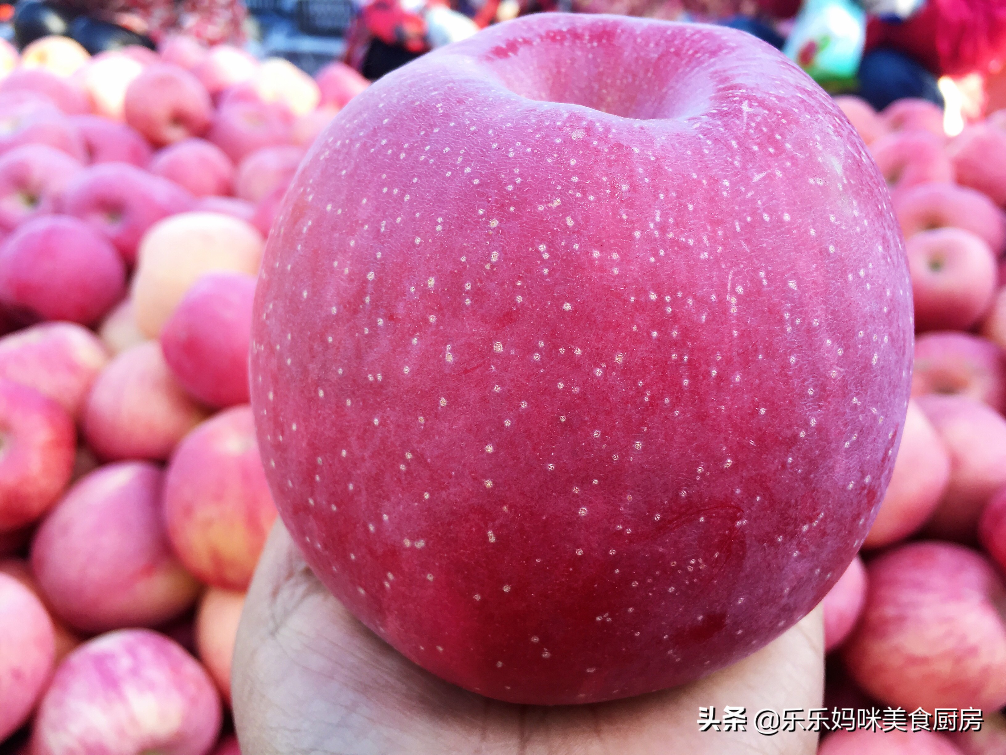 苹果片红和条纹红哪个好,果农选择优质苹果一般看什么
