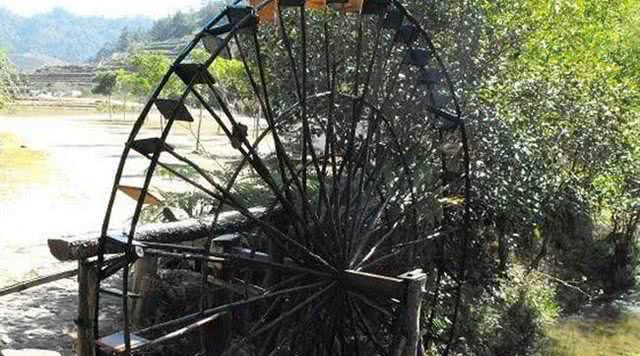 广东森林公园推荐,广东十大森林公园旅游景点