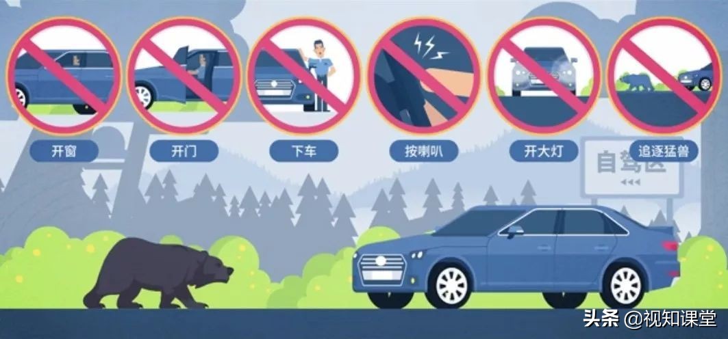 野外遇到猛兽教你一招自救,在外遇到大型猛兽如何自救