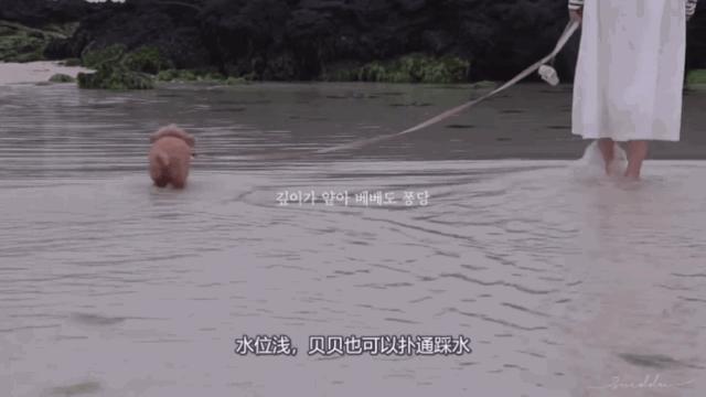 小姐姐分享自拍的“羞羞”日常，引百万人围观