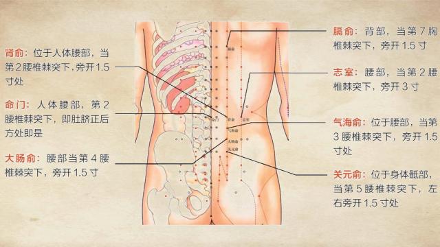 腰肌劳损艾灸哪个穴位最有效,腰肌劳损艾灸哪个穴位图