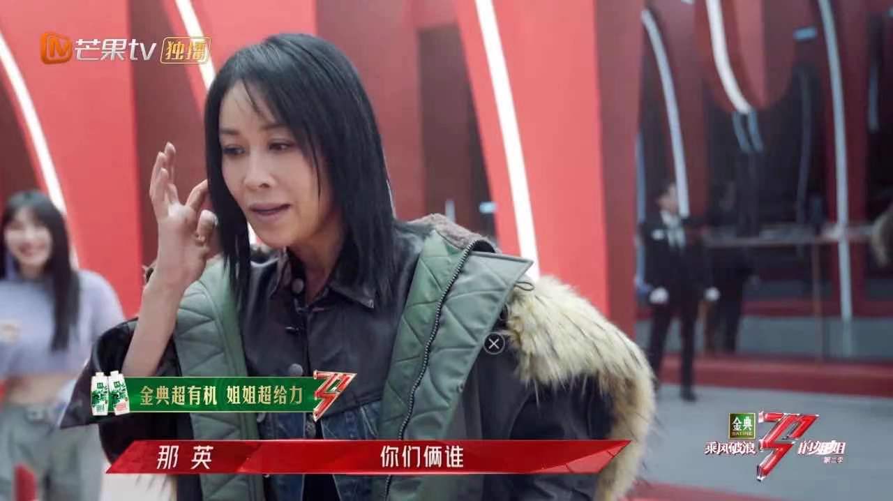 那英没成名前的照片,那英为什么不火了