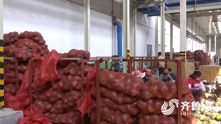 从女装到零食再到生鲜，寿光“直男”终实现“半挂车拉快递”梦想