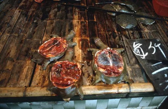 七十年代以来广州的生活的变迁,八十年代以前的广州照片