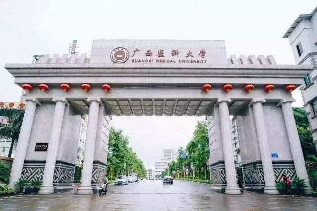 南方医科大学最好考的专业,南方医科大学最好专业排名