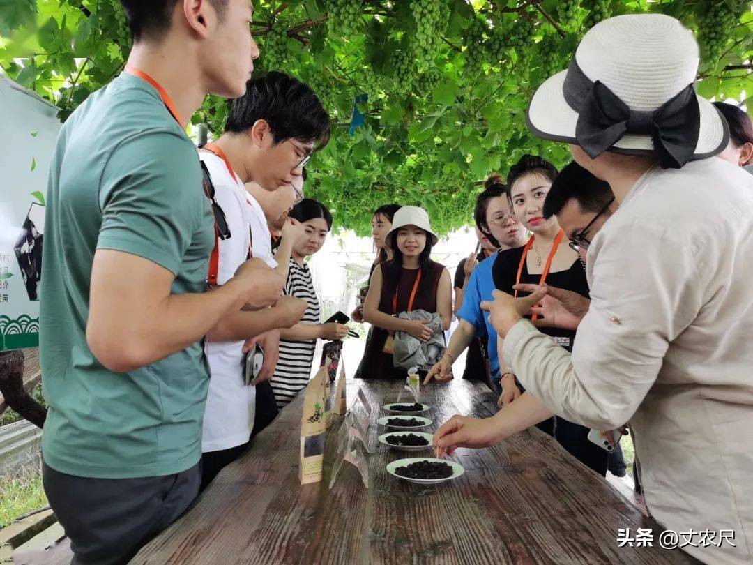 农村淘宝为什么停止运营,农村淘宝的新模式