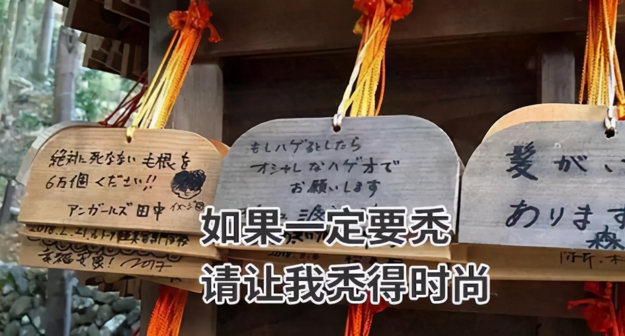 日本人秃头,日本秃头率亚洲第一