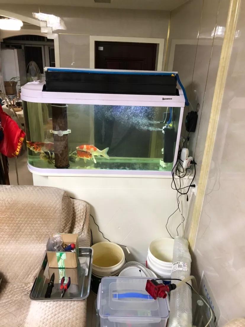 顶滤鱼缸怎样改成底部过滤,养鱼老道底滤改造