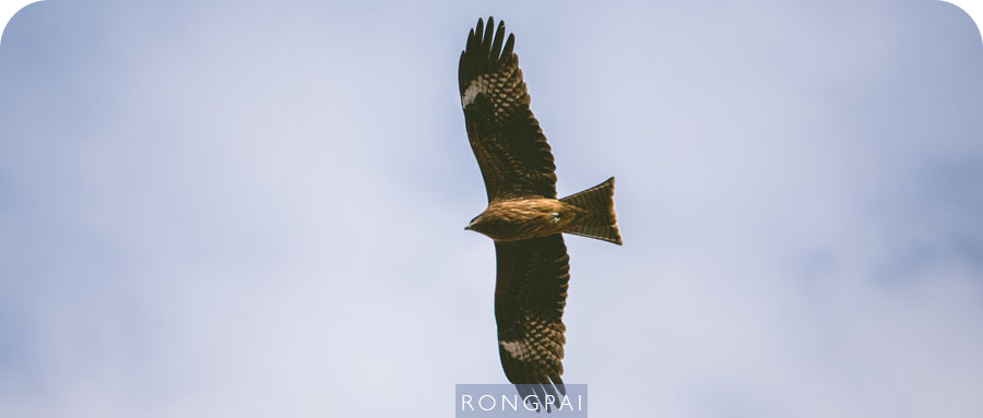 六个比较好的网站,六个网站学习