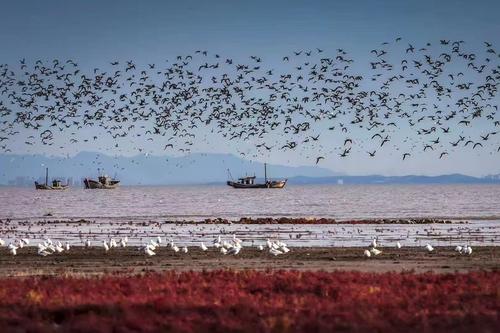 辽河入海口是哪个城市,全国唯一落日入海的城市