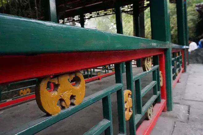 长得很丑的蝙蝠,蝙蝠象征意义是什么