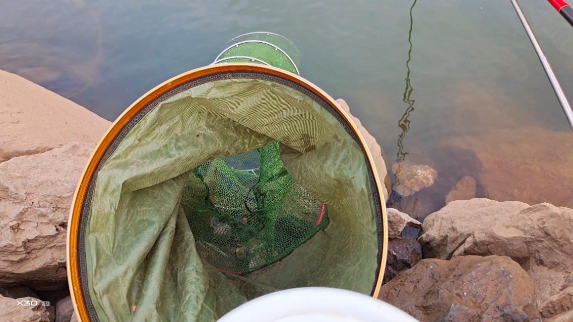 抄网鱼注意事项,抄网鱼怎么放鱼护最安全