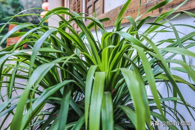 天目湖加南山竹海哪里泡温泉好,天目湖度假秘境享受绝美自然山水