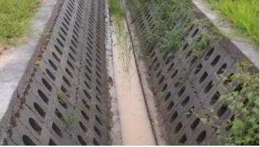 青蛙住“宾馆”，农田会呼吸，这个村发生了啥？