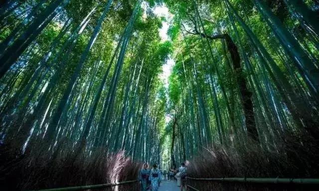 签证下来的护照丢了怎么办,已经办理完签证的护照丢了怎么办