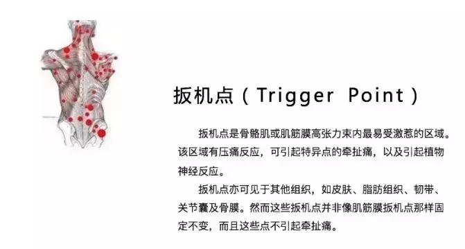 跑步放松肌肉方法筋膜枪,找到你科技是什么软件