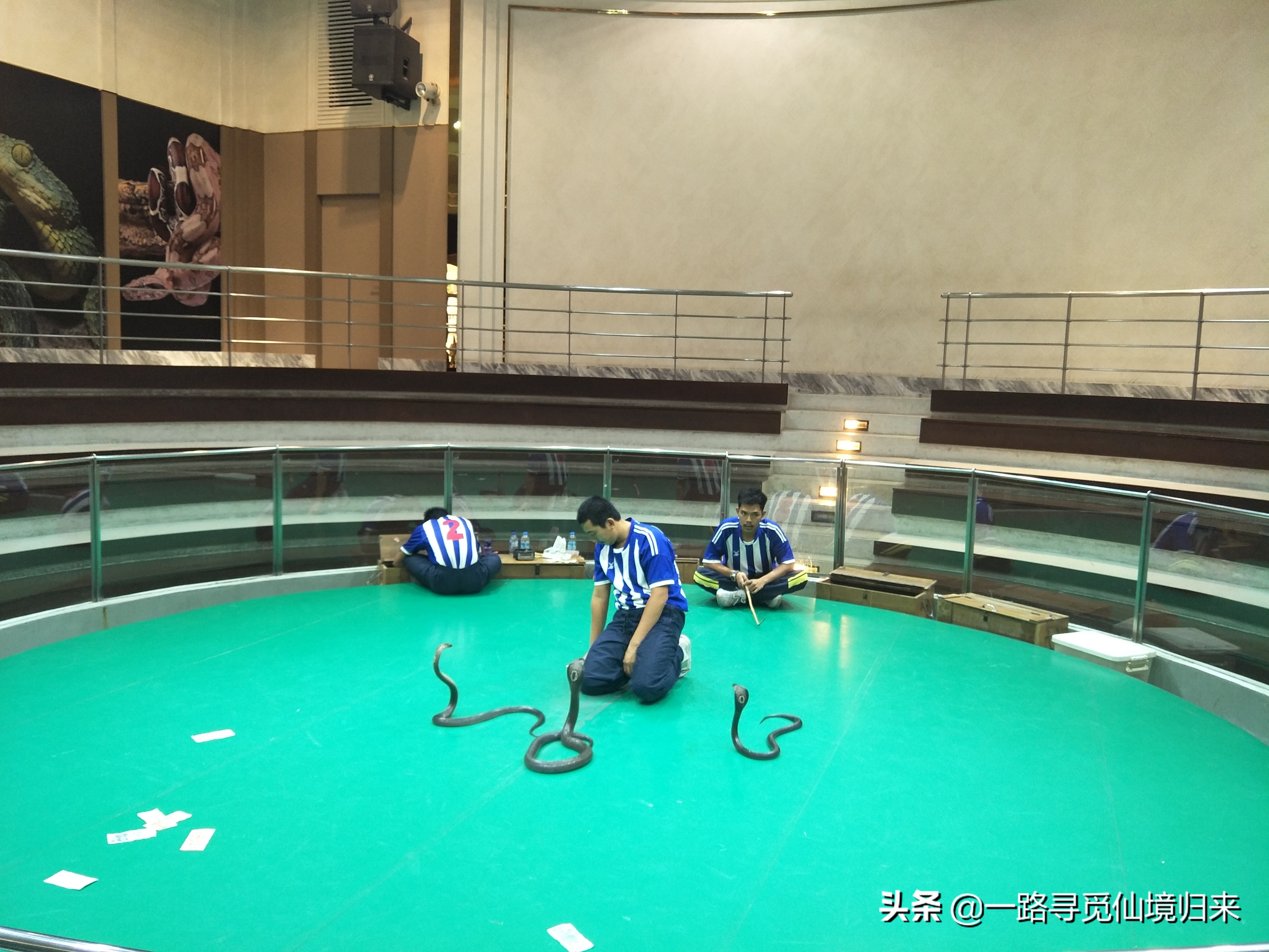 刷哇滴卡泰国版,刷哇滴卡