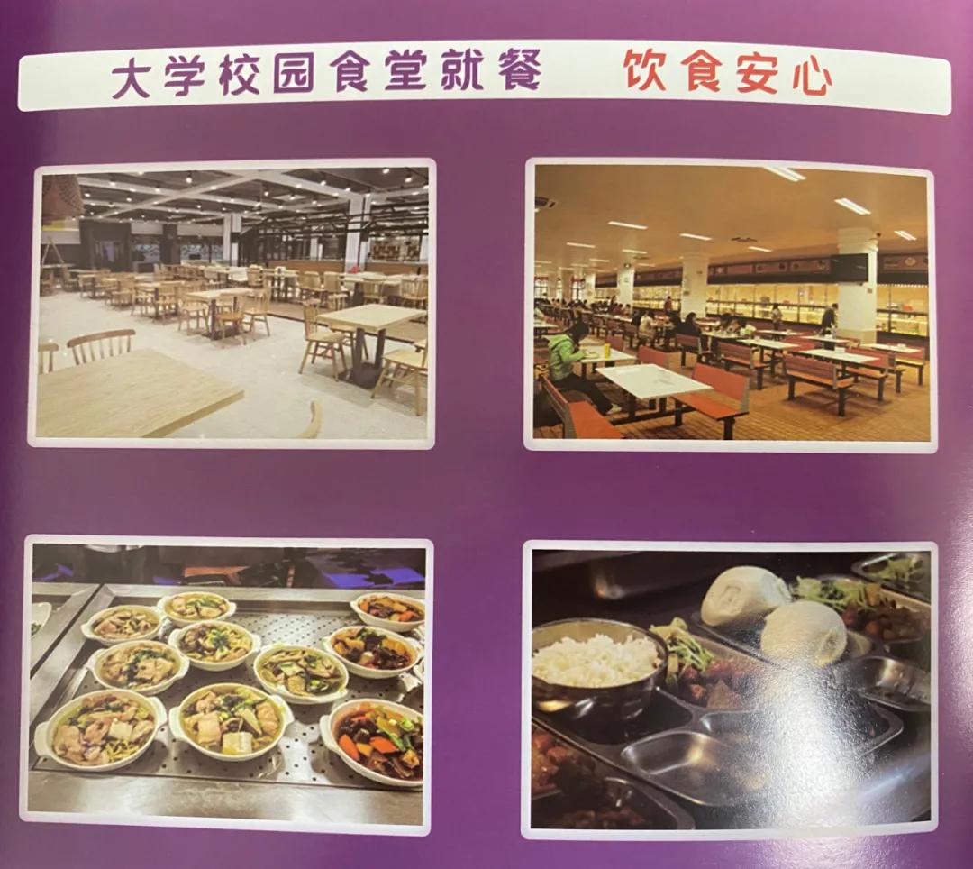 迈成专属表情包,“迈萌”喵来啦