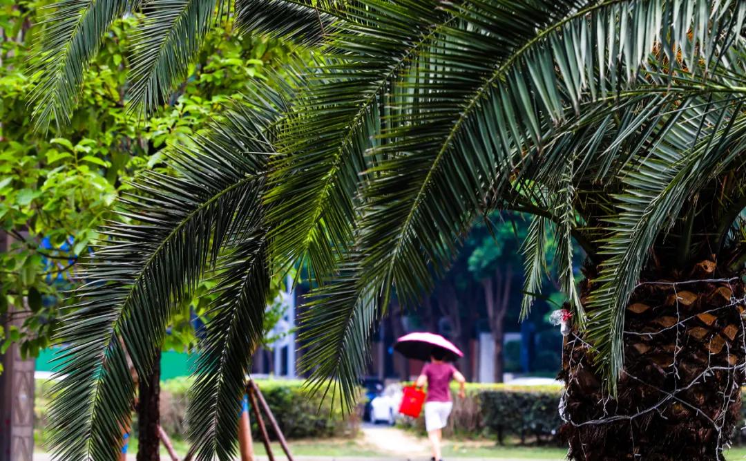 天府大道改造最新消息,为什么天府大道修到仁寿就变弯了