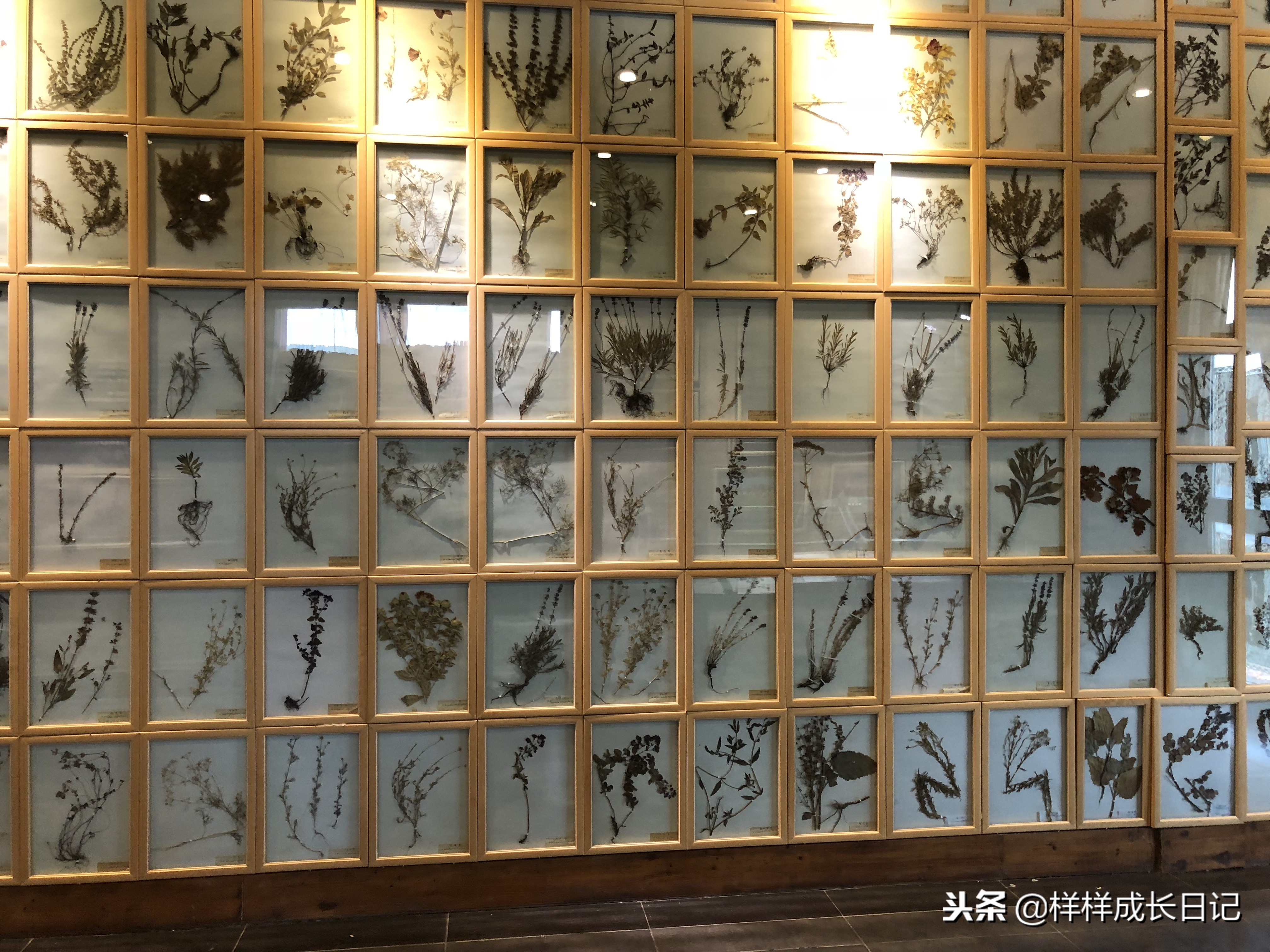 一家三口新疆伊犁旅游,自驾游霍尔果斯路线攻略