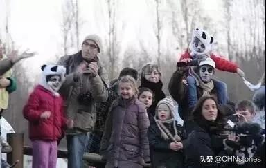 熊猫贝贝回国后的生活,和平大使熊猫