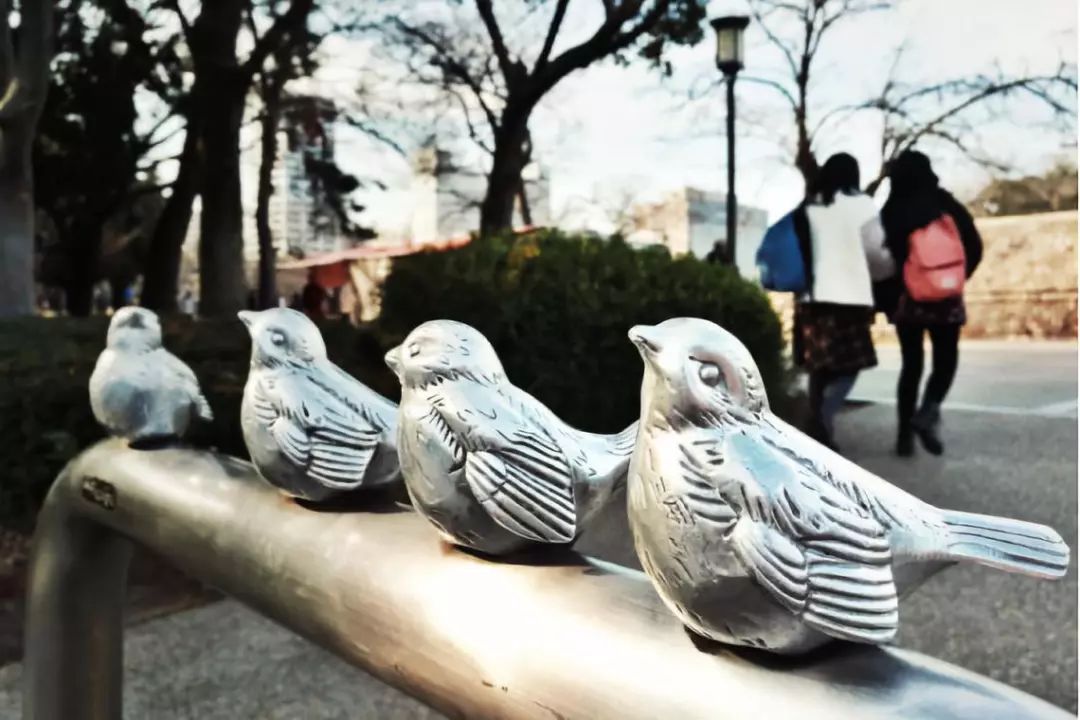 王思聪李易峰综艺节目,王思聪李易峰玩游戏