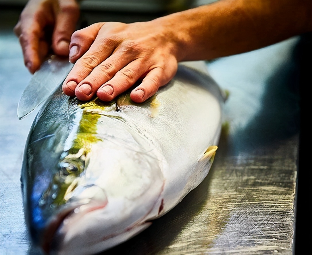 日本挪威新西兰澳大利亚,挪威向中国出口水产品