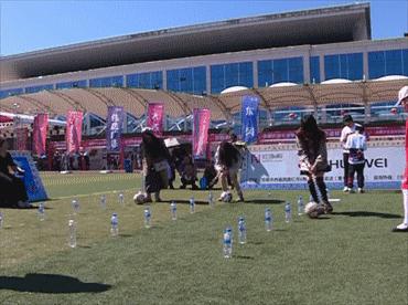 昆明弥勒人山人海,来弥勒玩人山人海