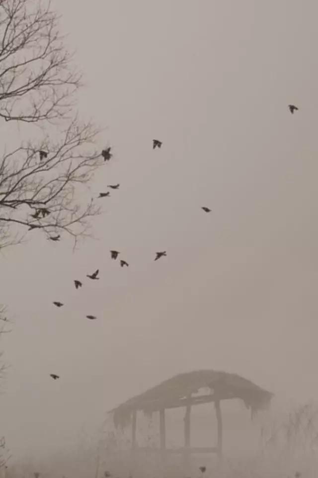 中国文学常识100个必考题,文学常识必背知识点省考