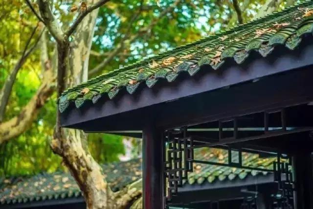 人心不足蛇吞象的故事是真的吗,人心不足蛇吞象的完整故事