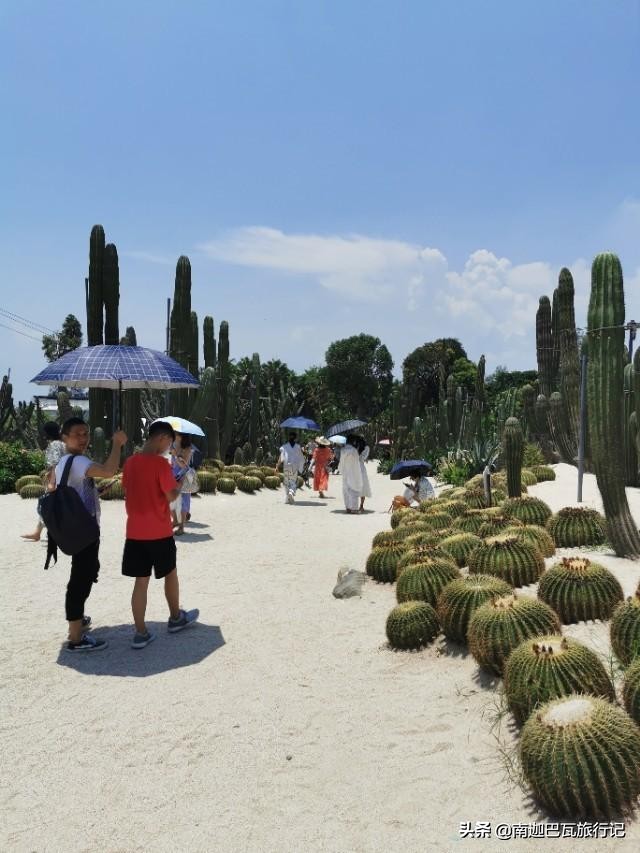 厦门鼓浪屿旅游攻略网红,厦门印象之鼓浪屿